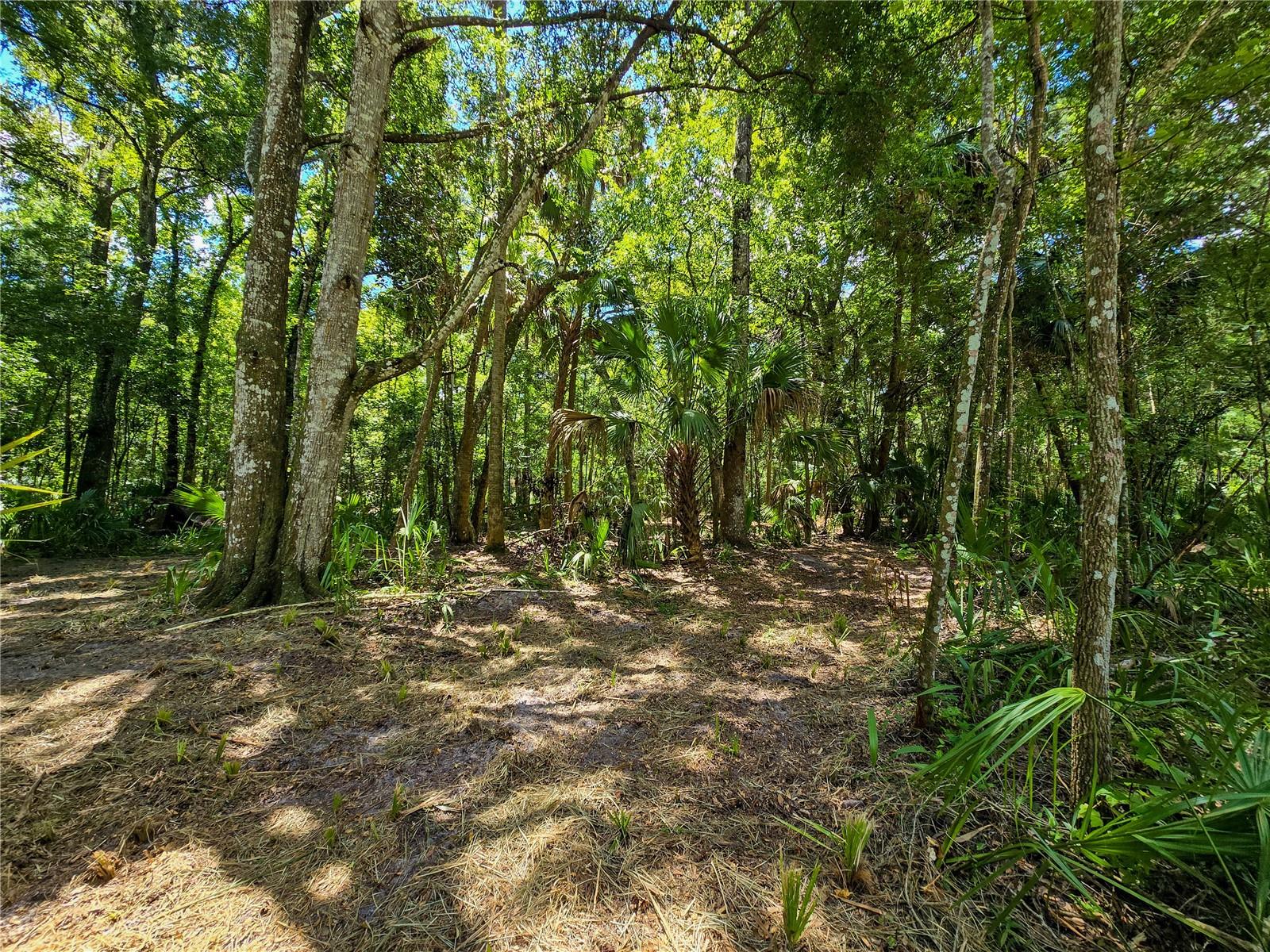 2381 N JENNIFER TER, INVERNESS, FL, 34453