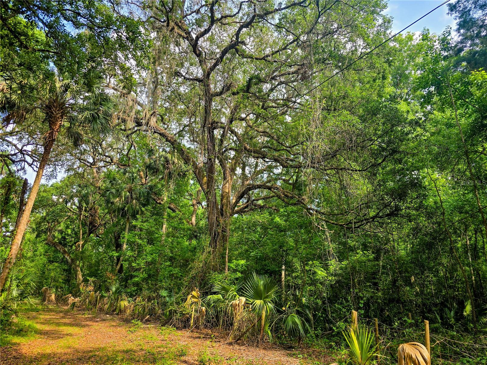 2381 N JENNIFER TER, INVERNESS, FL, 34453