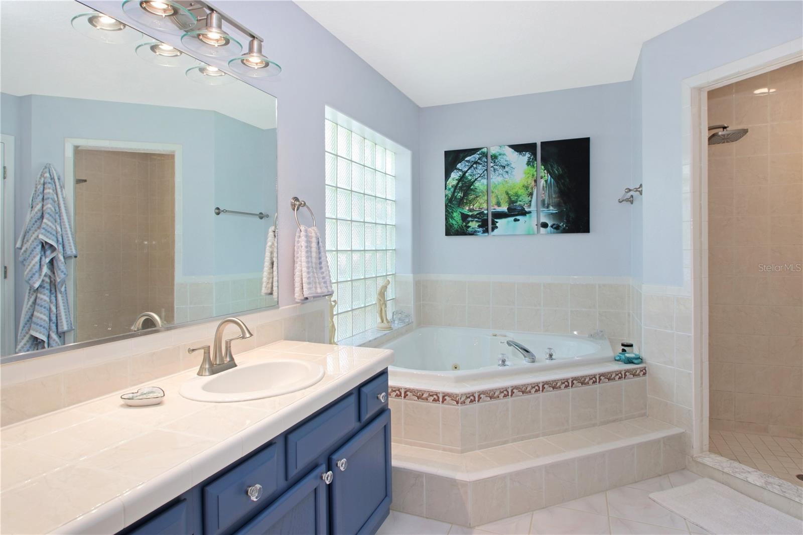 11825 OVERLOOK DR, CLERMONT, FL, 34711