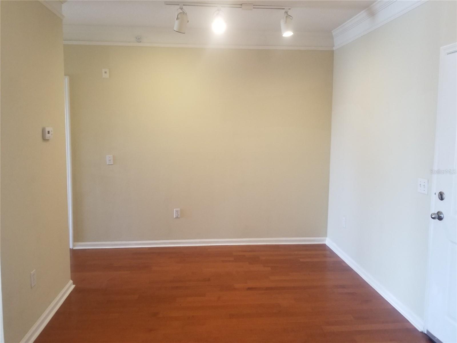 4207 S DALE MABRY HWY #2401, TAMPA, FL, 33611