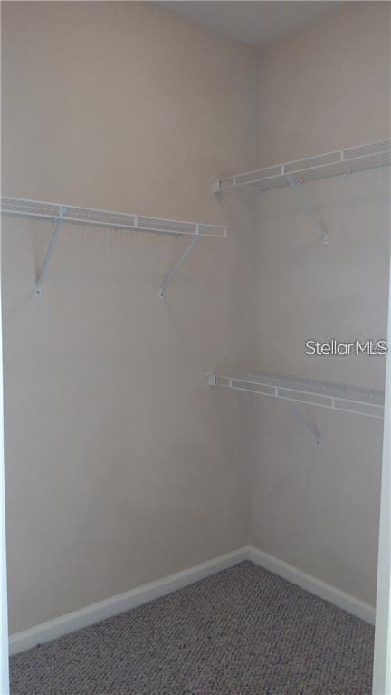 4207 S DALE MABRY HWY #2401, TAMPA, FL, 33611