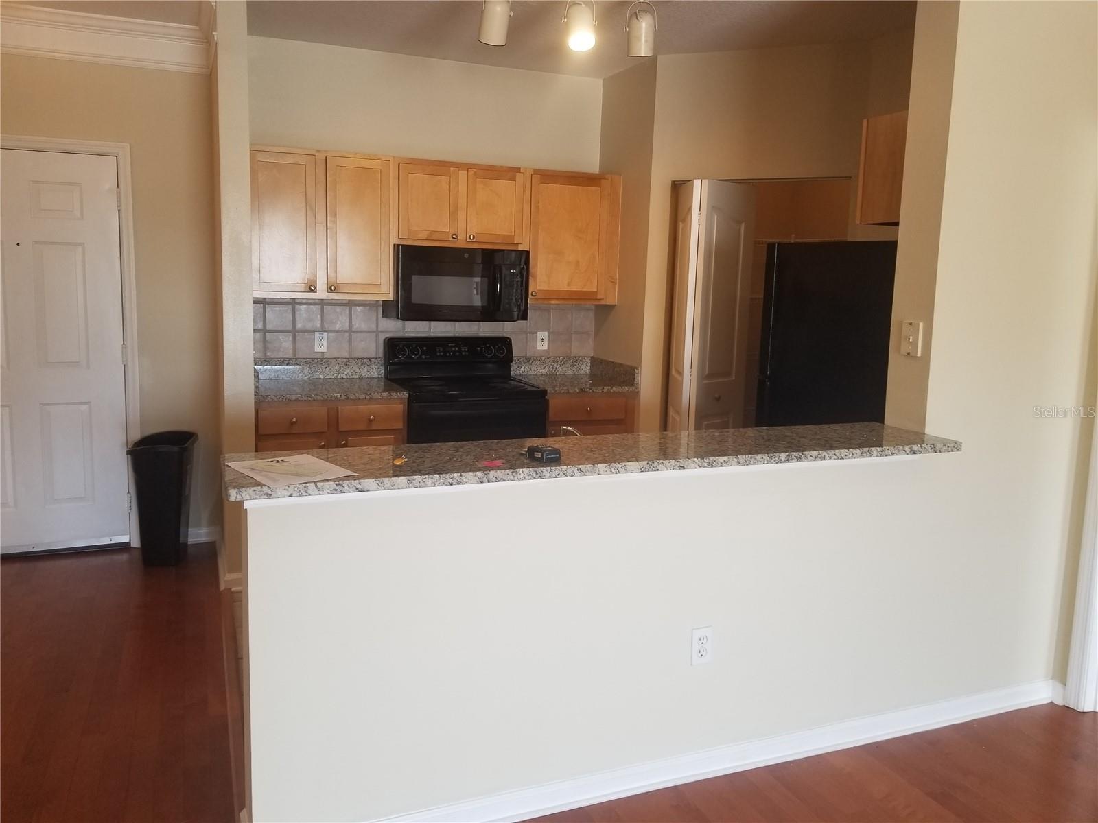 4207 S DALE MABRY HWY #2401, TAMPA, FL, 33611