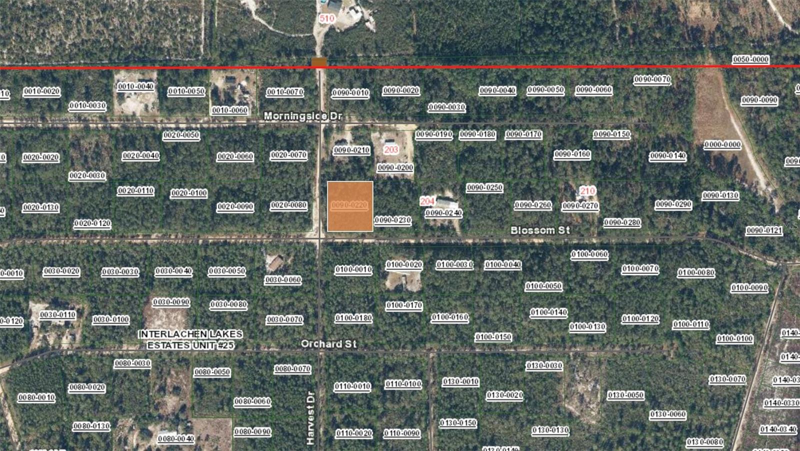 XX BLOSSOM, FLORAHOME, FL, 32140