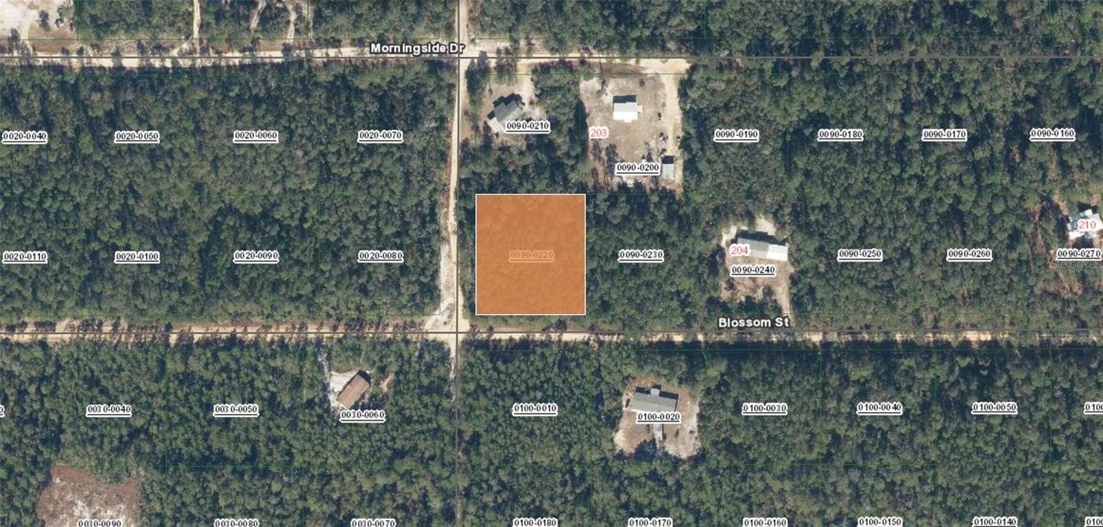 XX BLOSSOM, FLORAHOME, FL, 32140