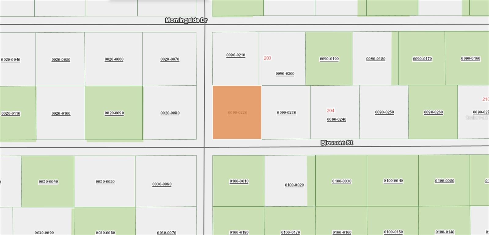 XX BLOSSOM, FLORAHOME, FL, 32140