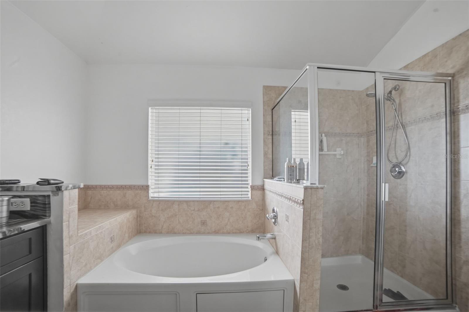 234 TOWERVIEW DR E, HAINES CITY, FL, 33844