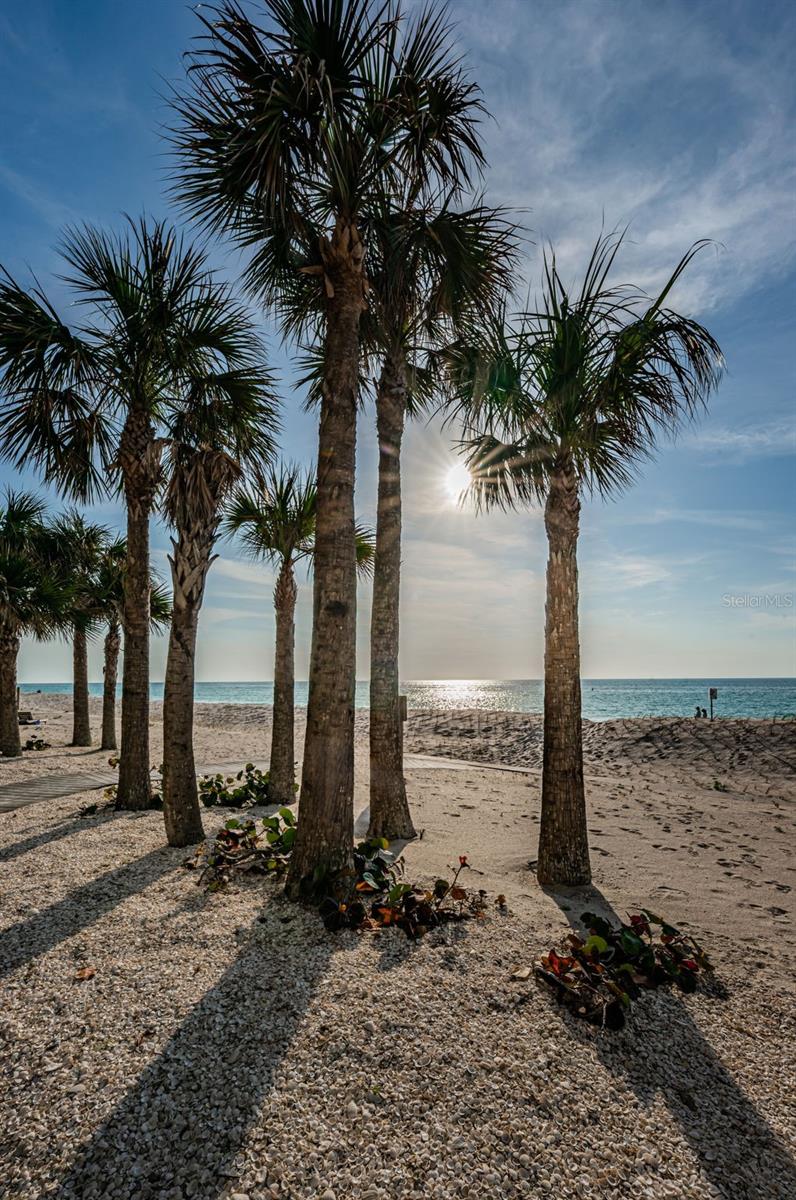 1660 GULF BLVD #208, CLEARWATER BEACH, FL, 33767