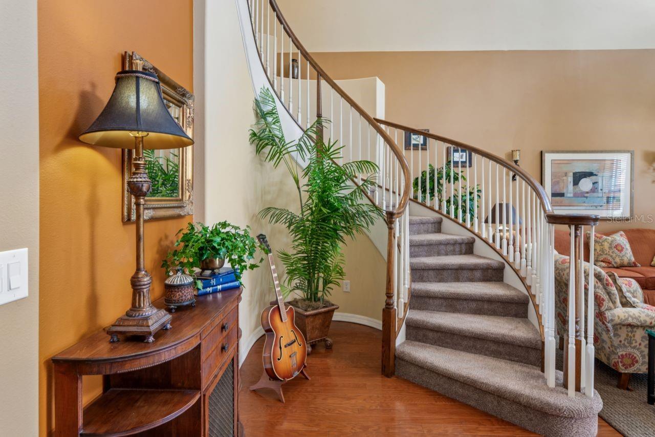 8719 CREEDMOOR LN, NEW PORT RICHEY, FL, 34654