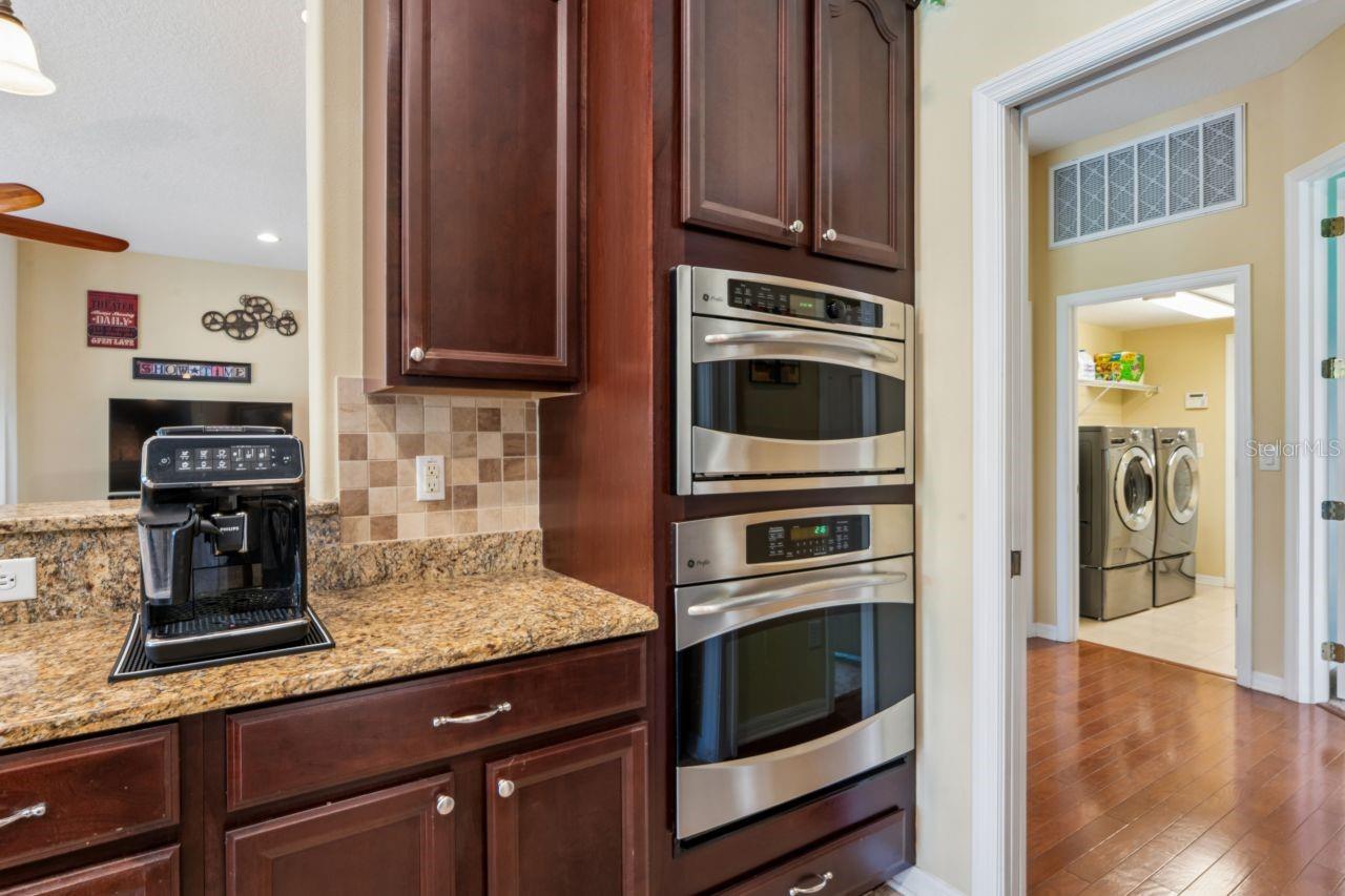 8719 CREEDMOOR LN, NEW PORT RICHEY, FL, 34654