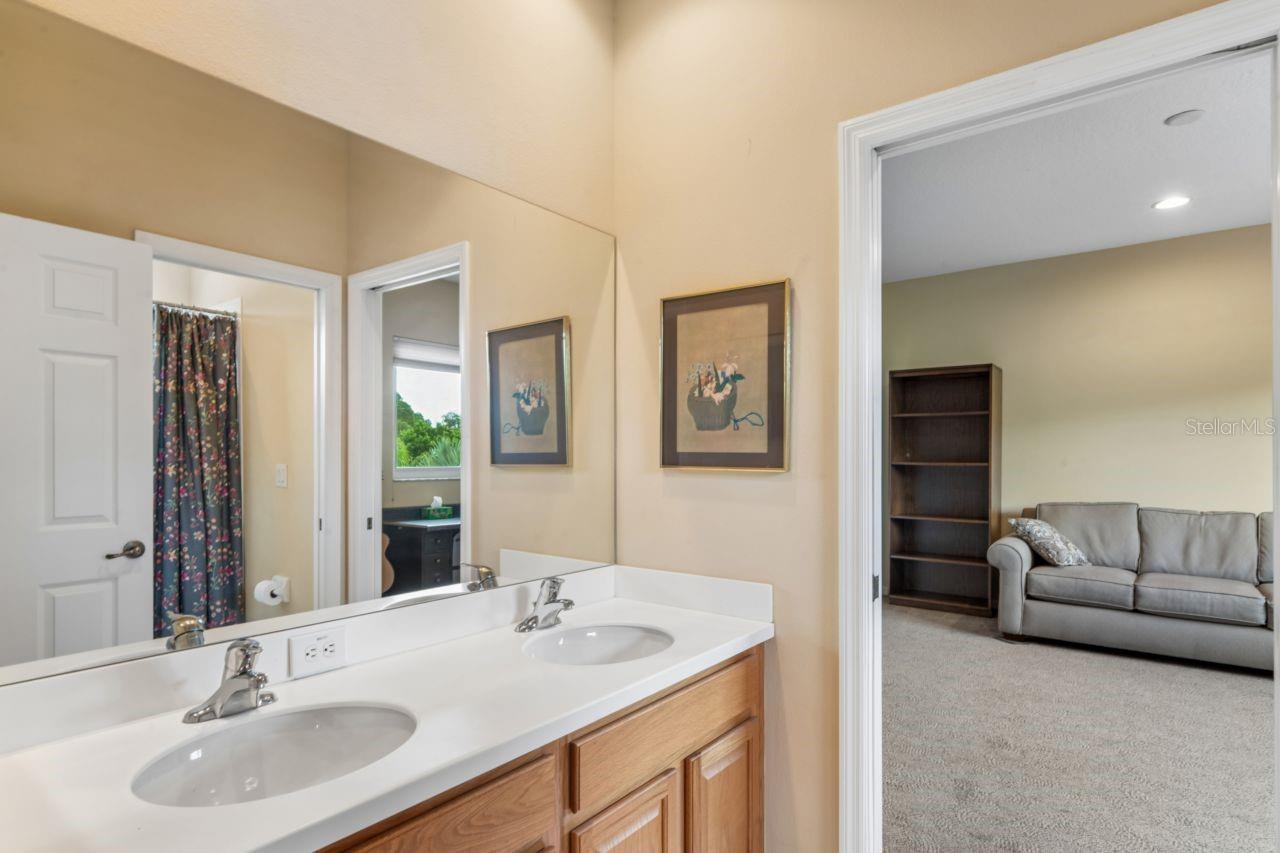 8719 CREEDMOOR LN, NEW PORT RICHEY, FL, 34654