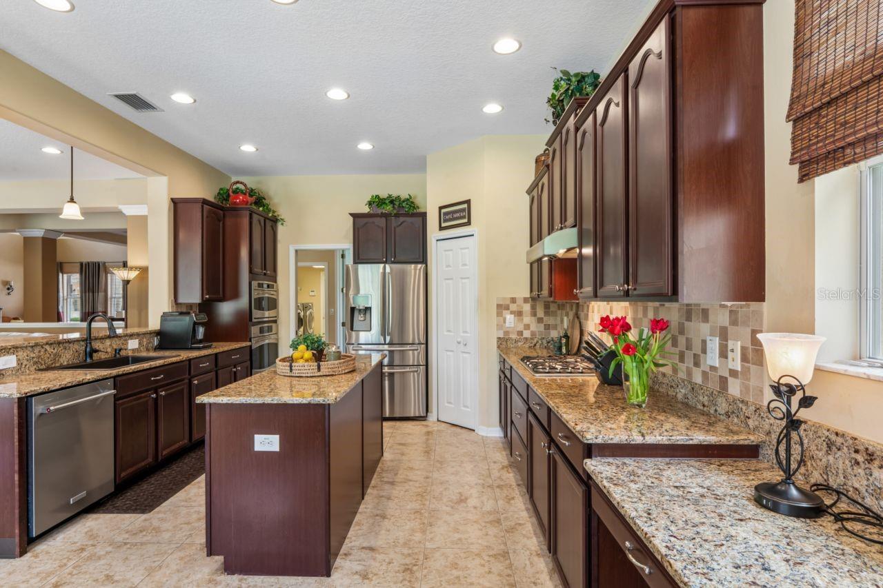 8719 CREEDMOOR LN, NEW PORT RICHEY, FL, 34654