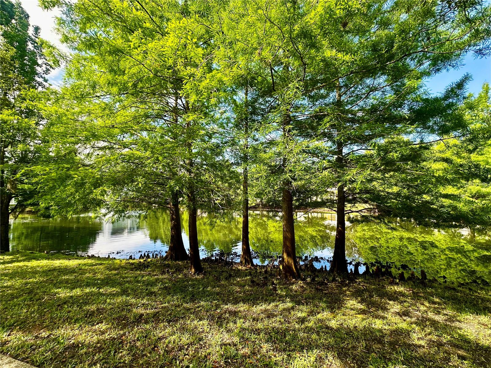 373 OLD FARM LN, WINTER SPRINGS, FL, 32708