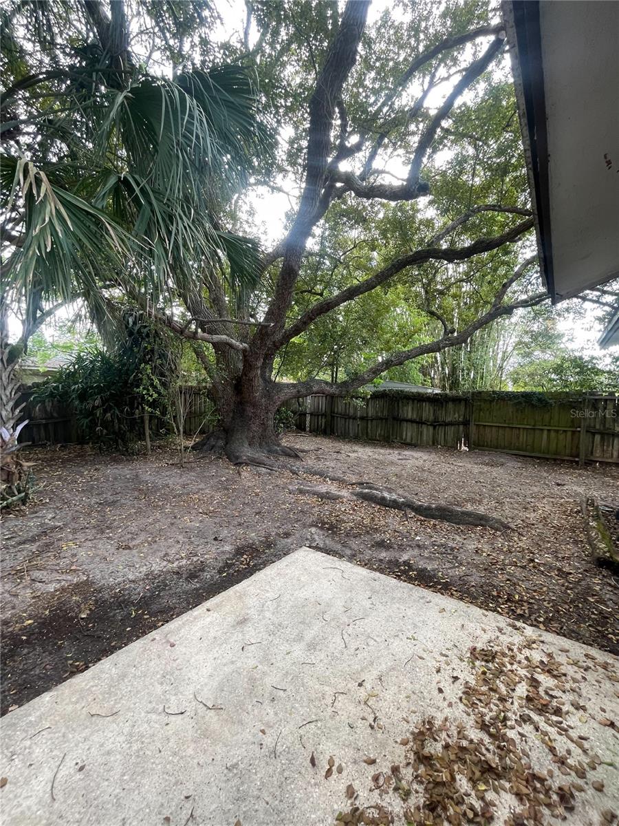 4109 E 99TH AVE, TAMPA, FL, 33617