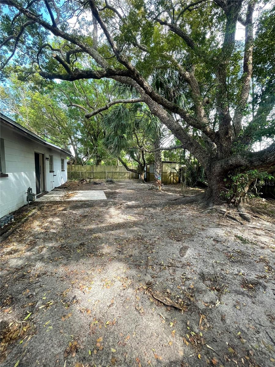 4109 E 99TH AVE, TAMPA, FL, 33617