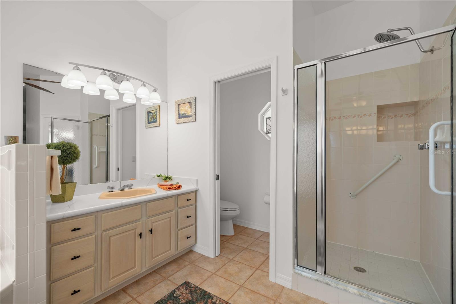 10317 SW 63RD AVE, OCALA, FL, 34476