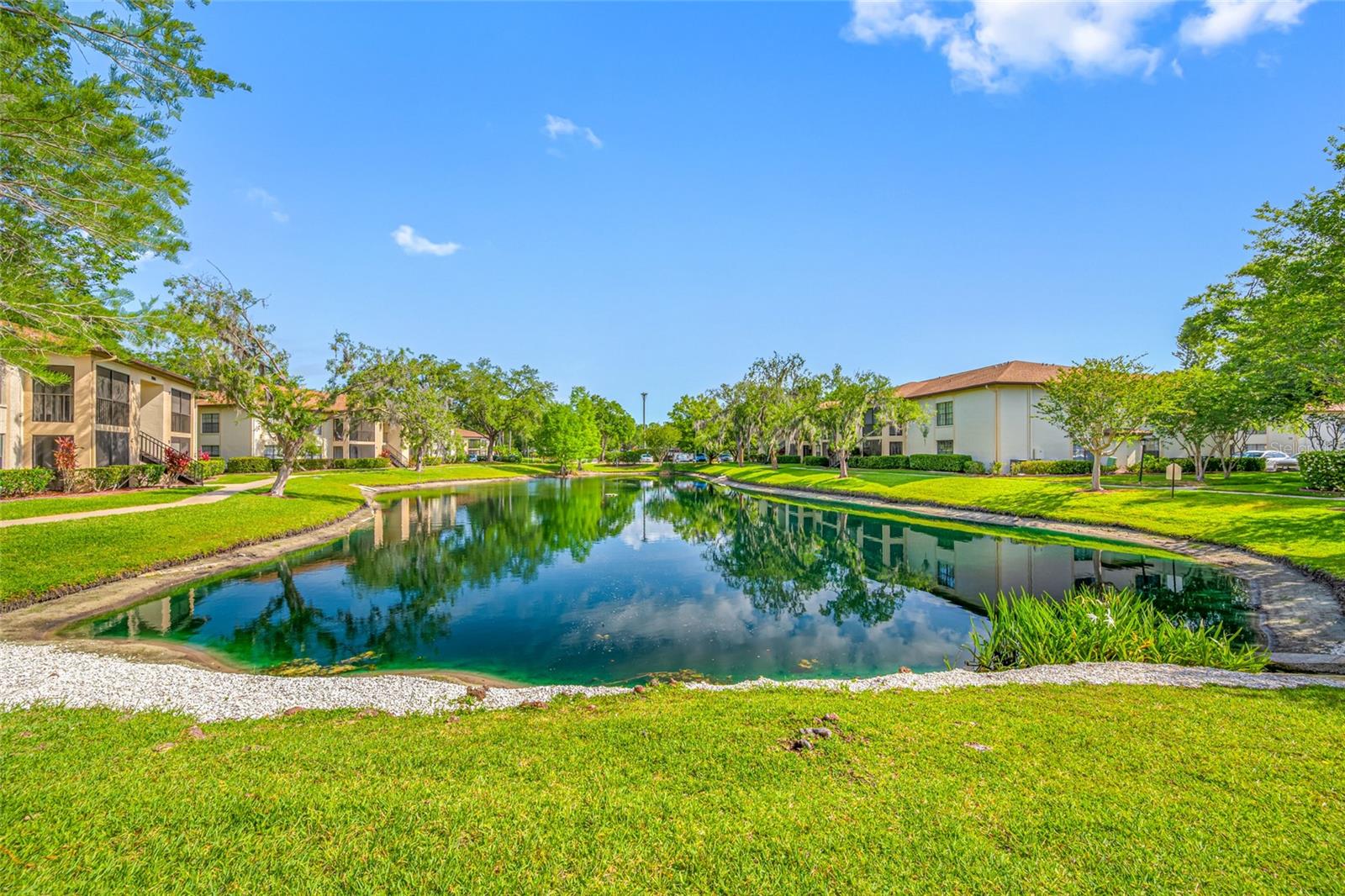 3301 CRYSTAL CT E #D, PALM HARBOR, FL, 34685