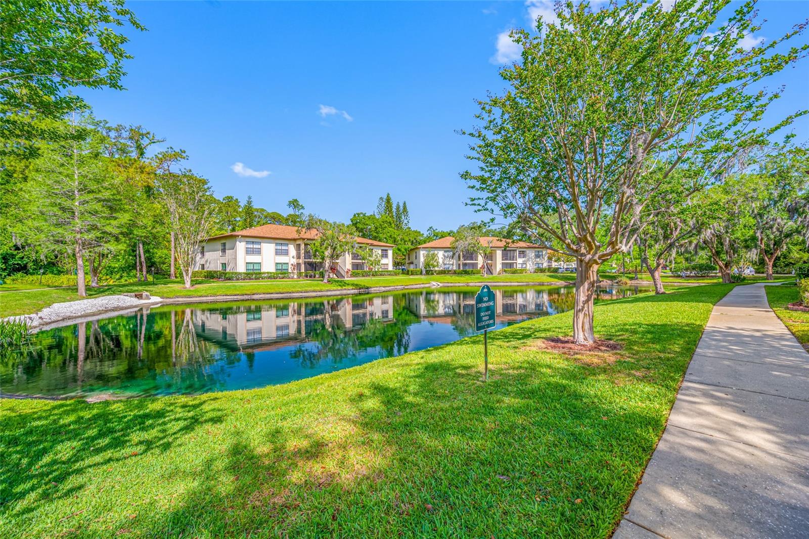 3301 CRYSTAL CT E #D, PALM HARBOR, FL, 34685