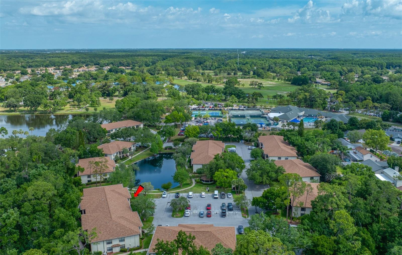 3301 CRYSTAL CT E #D, PALM HARBOR, FL, 34685