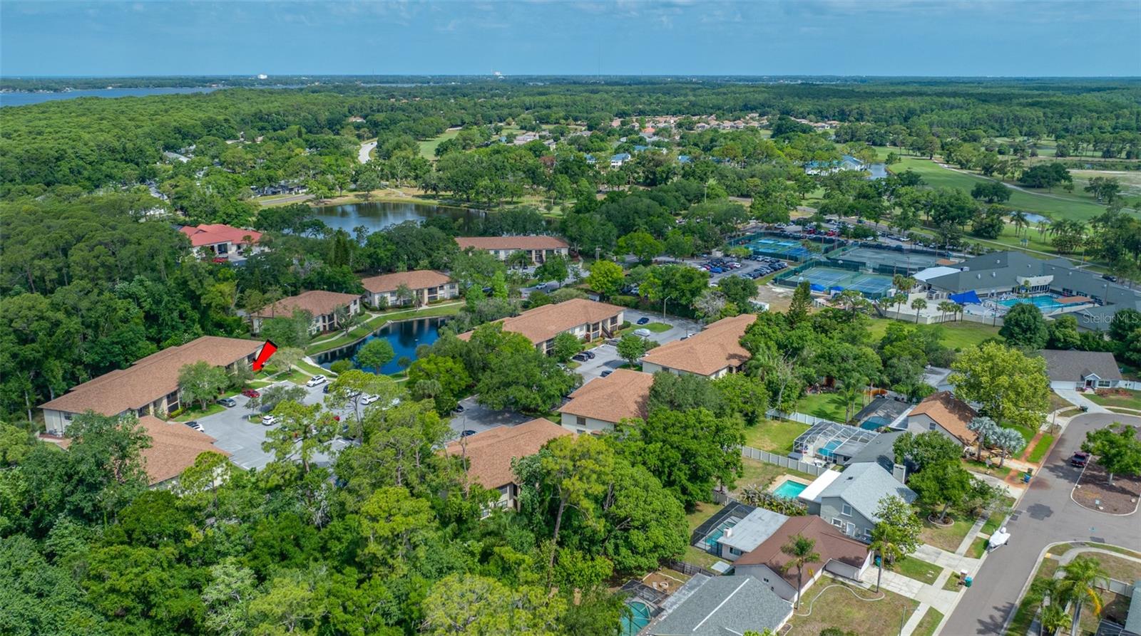 3301 CRYSTAL CT E #D, PALM HARBOR, FL, 34685