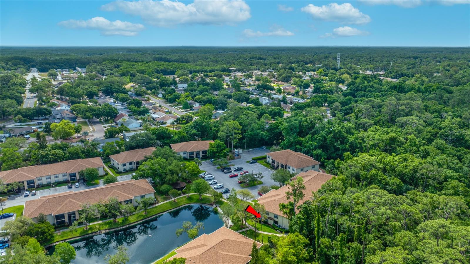 3301 CRYSTAL CT E #D, PALM HARBOR, FL, 34685