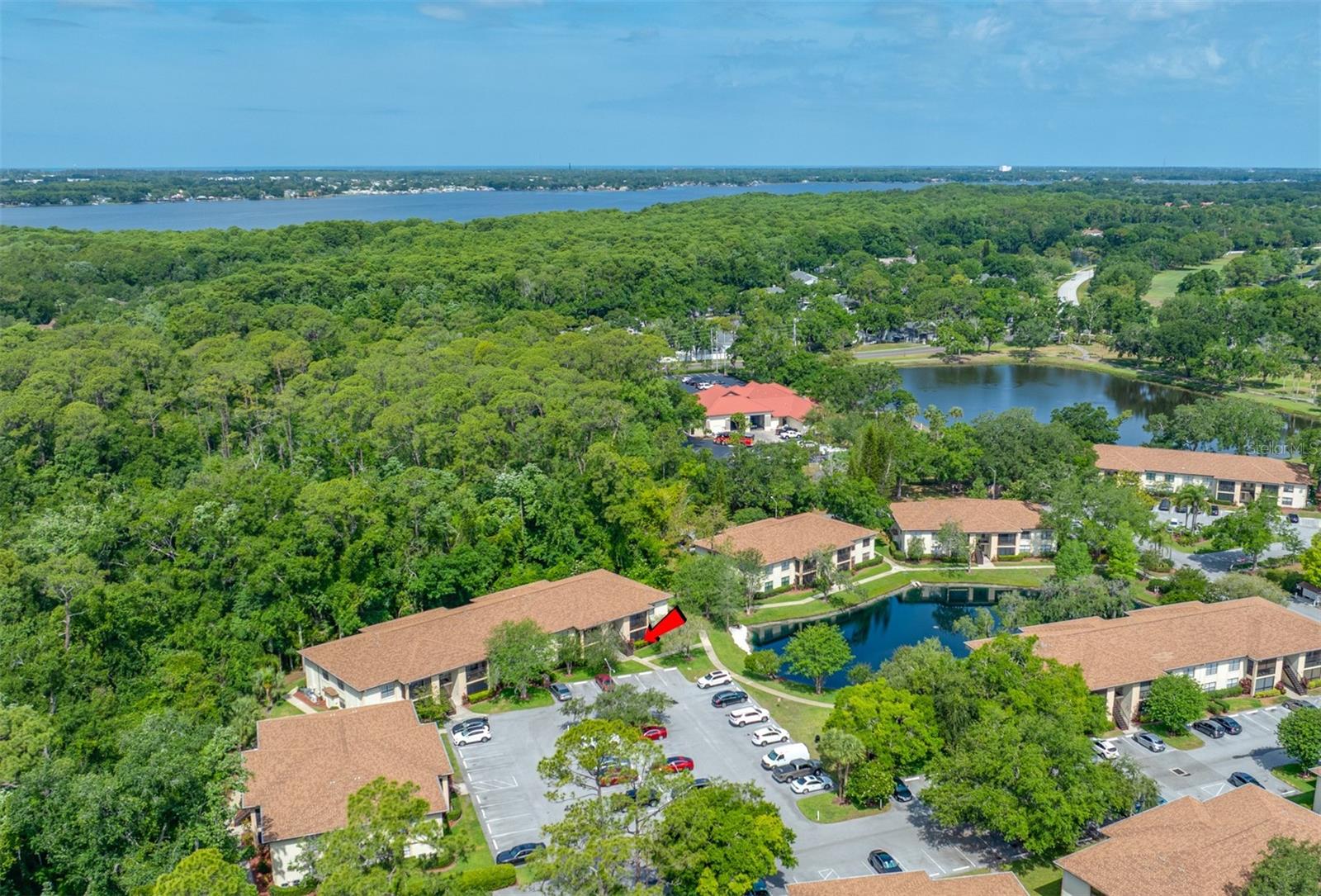 3301 CRYSTAL CT E #D, PALM HARBOR, FL, 34685