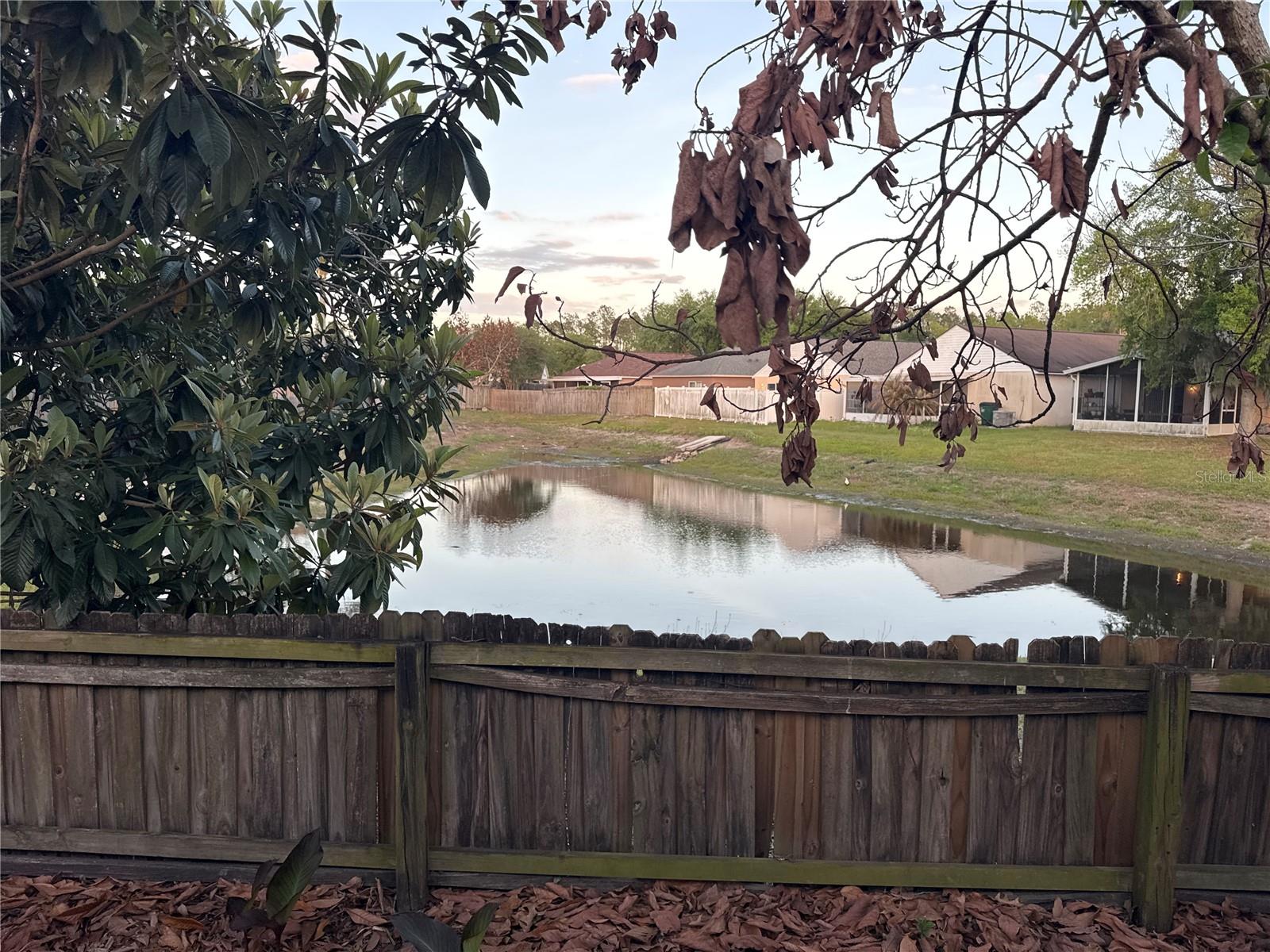 5920 ROTELLA DR, WESLEY CHAPEL, FL, 33545