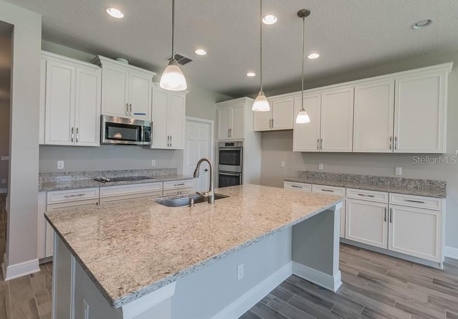10442 ARBOR GROVES PL, RIVERVIEW, FL, 33578