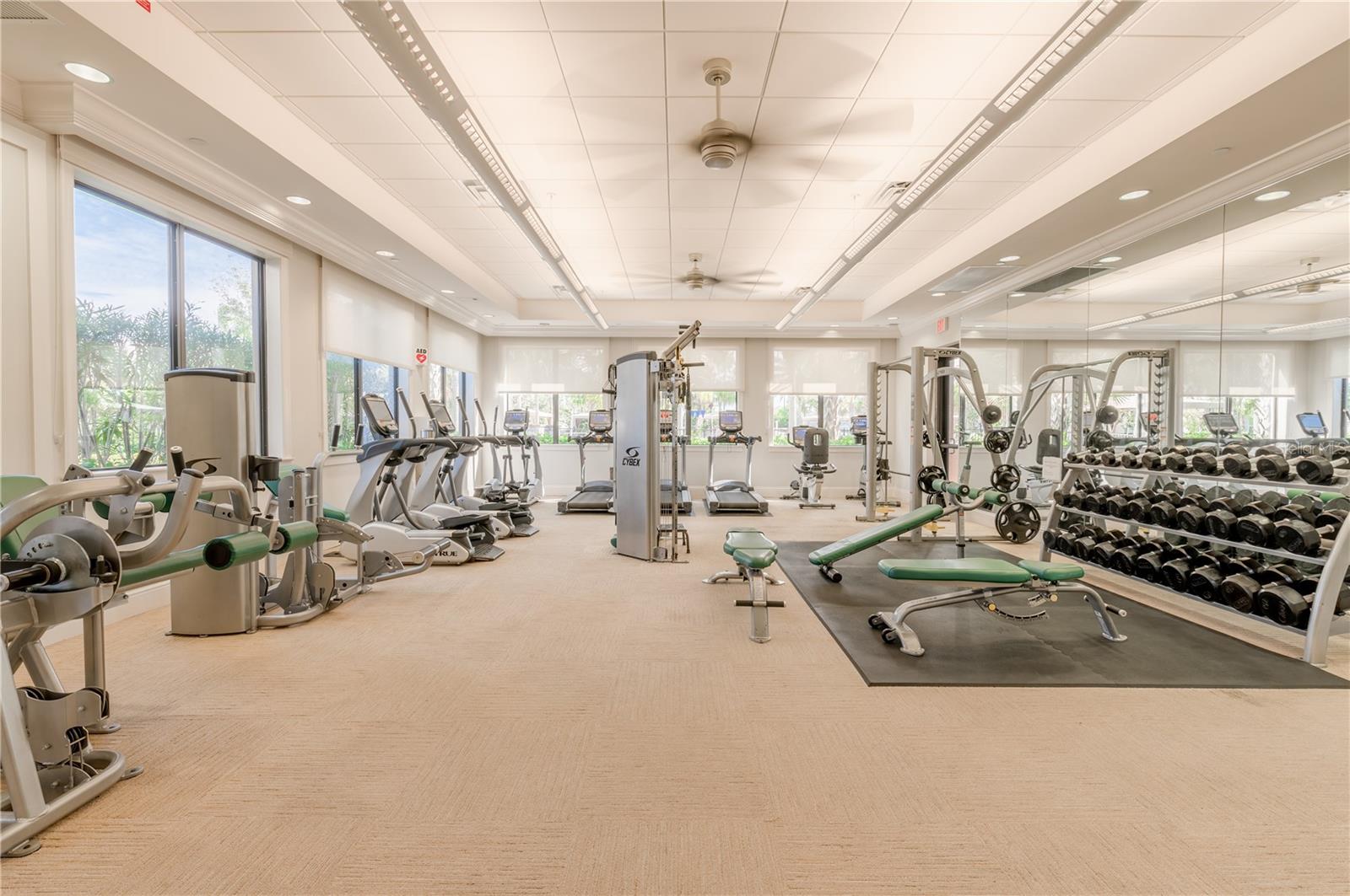 30567 CHESAPEAKE BAY DR, WESLEY CHAPEL, FL, 33543