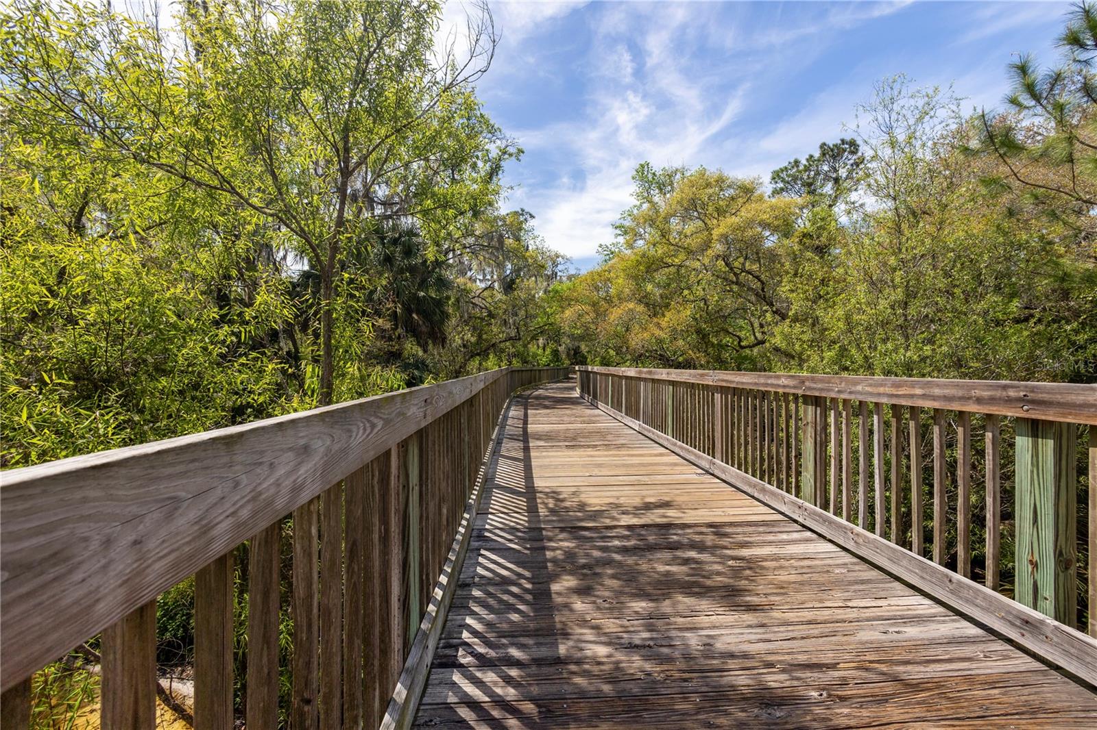 6004 MERLINWOOD DR, LITHIA, FL, 33547