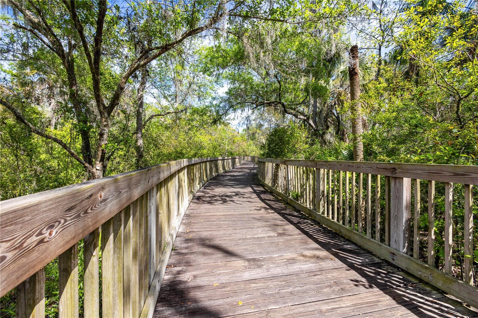 6004 MERLINWOOD DR, LITHIA, FL, 33547