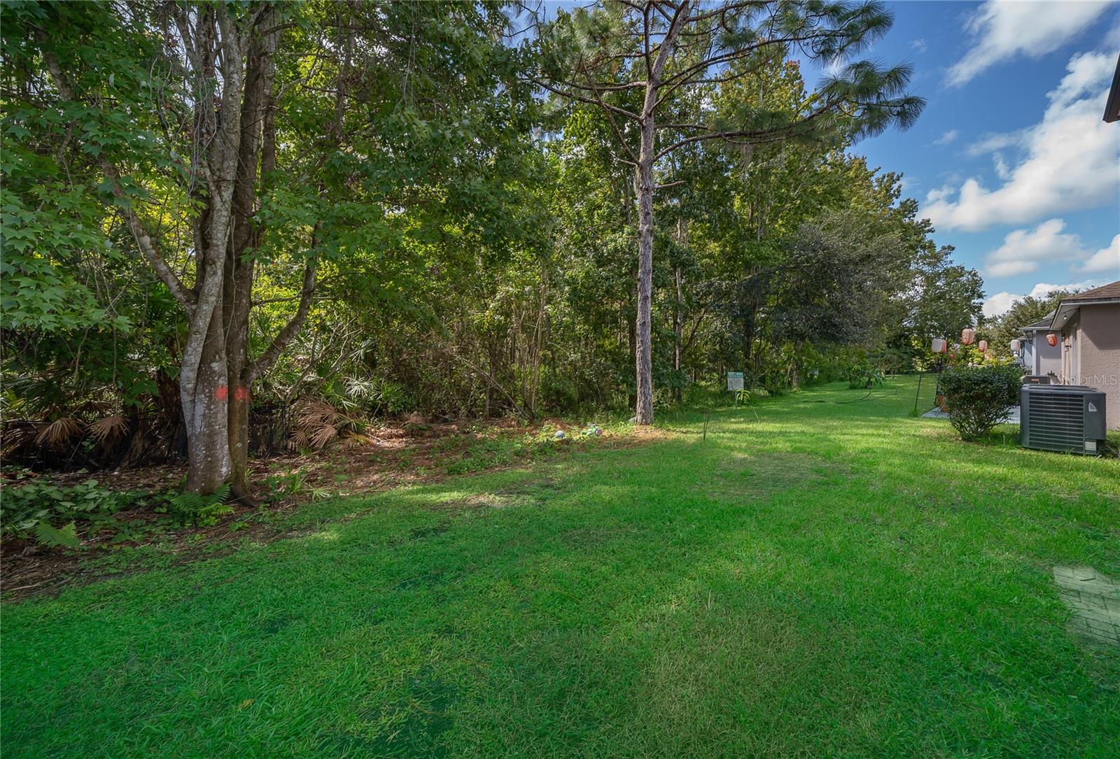 9808 BENNINGTON CHASE DR, ORLANDO, FL, 32829