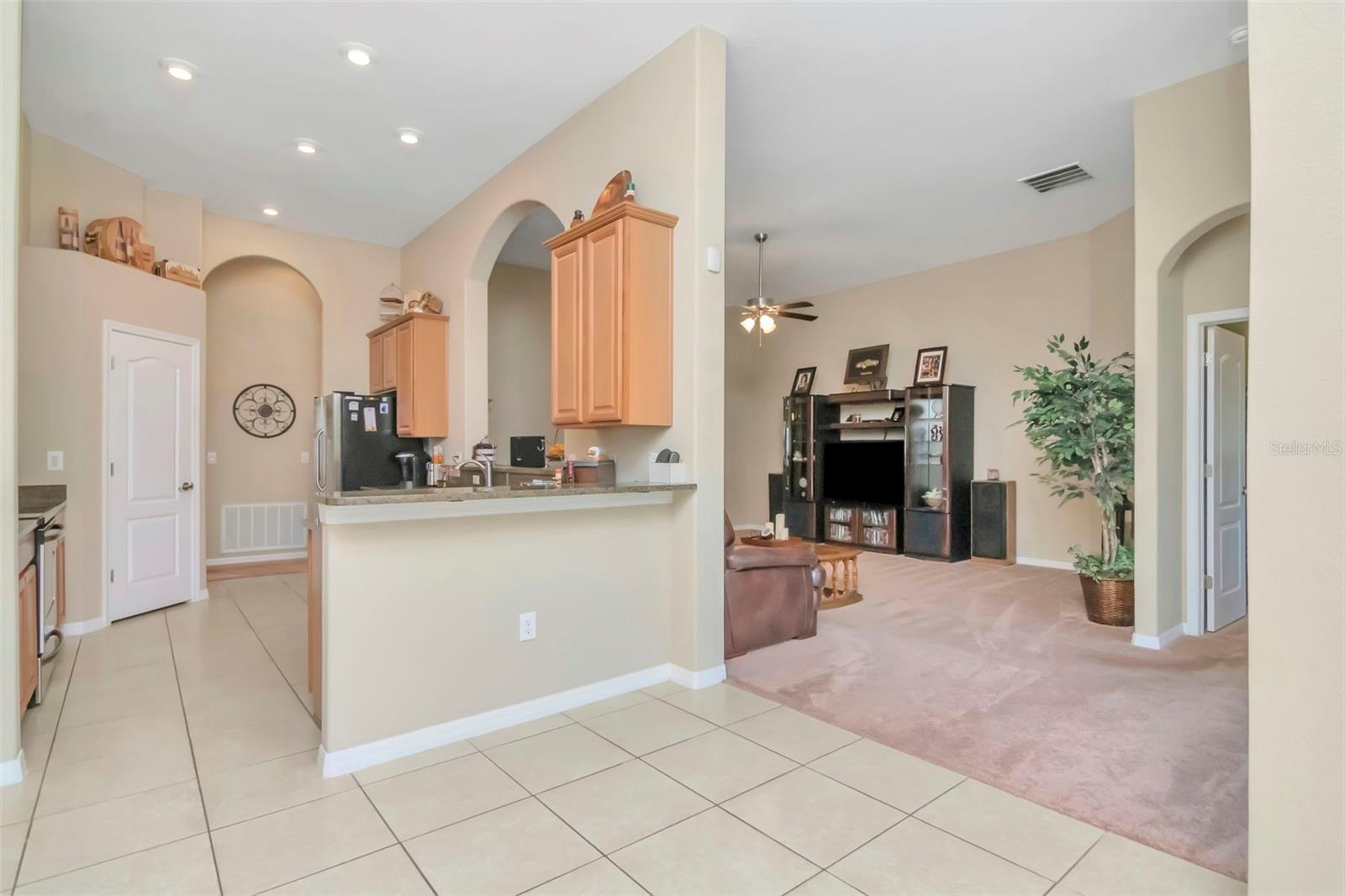 13247 GRAHAM YARDEN DR, RIVERVIEW, FL, 33579