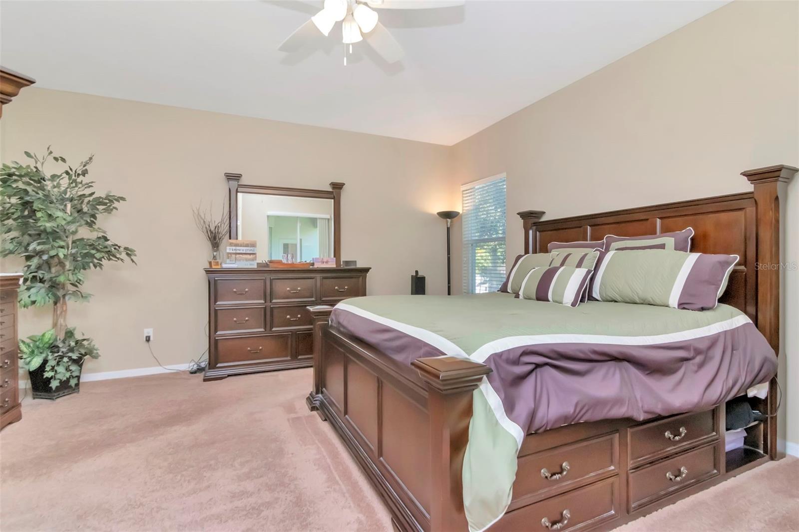 13247 GRAHAM YARDEN DR, RIVERVIEW, FL, 33579