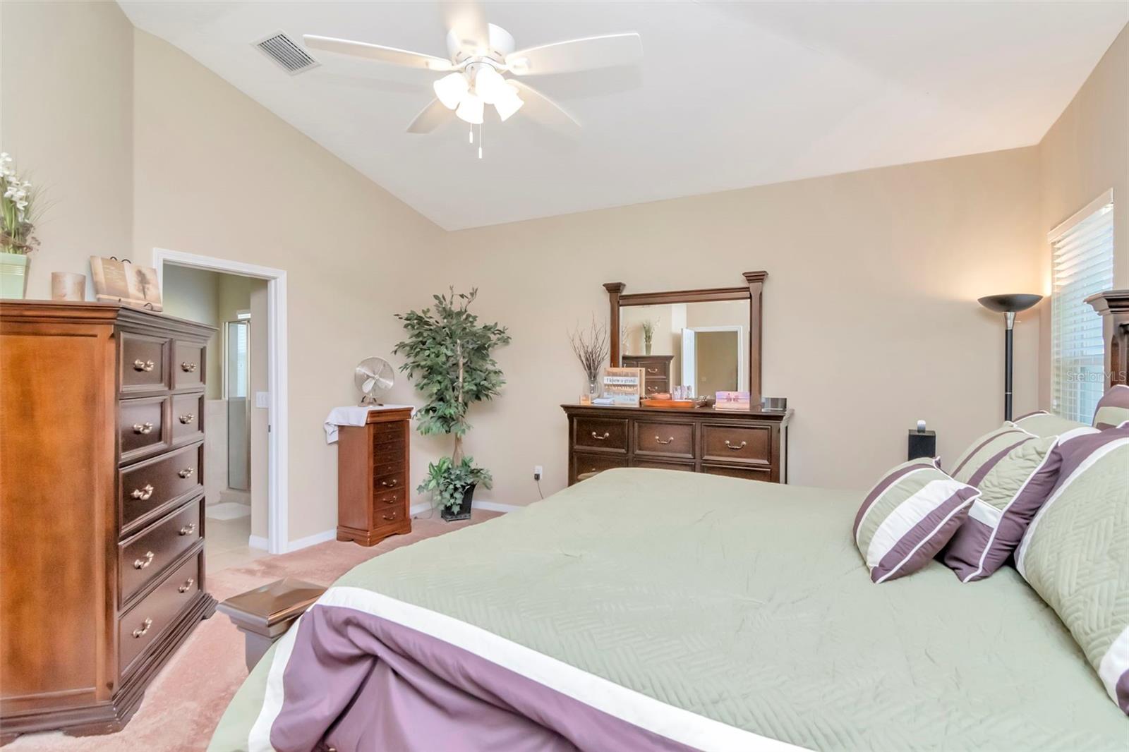 13247 GRAHAM YARDEN DR, RIVERVIEW, FL, 33579