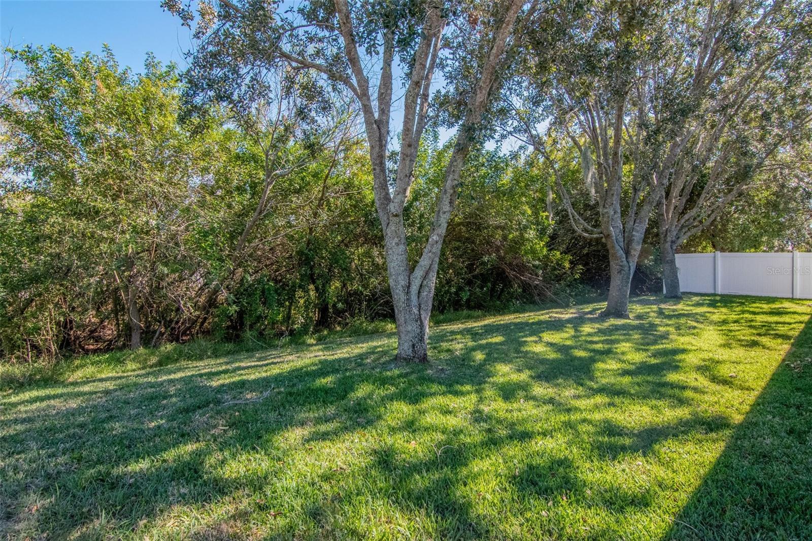 13247 GRAHAM YARDEN DR, RIVERVIEW, FL, 33579