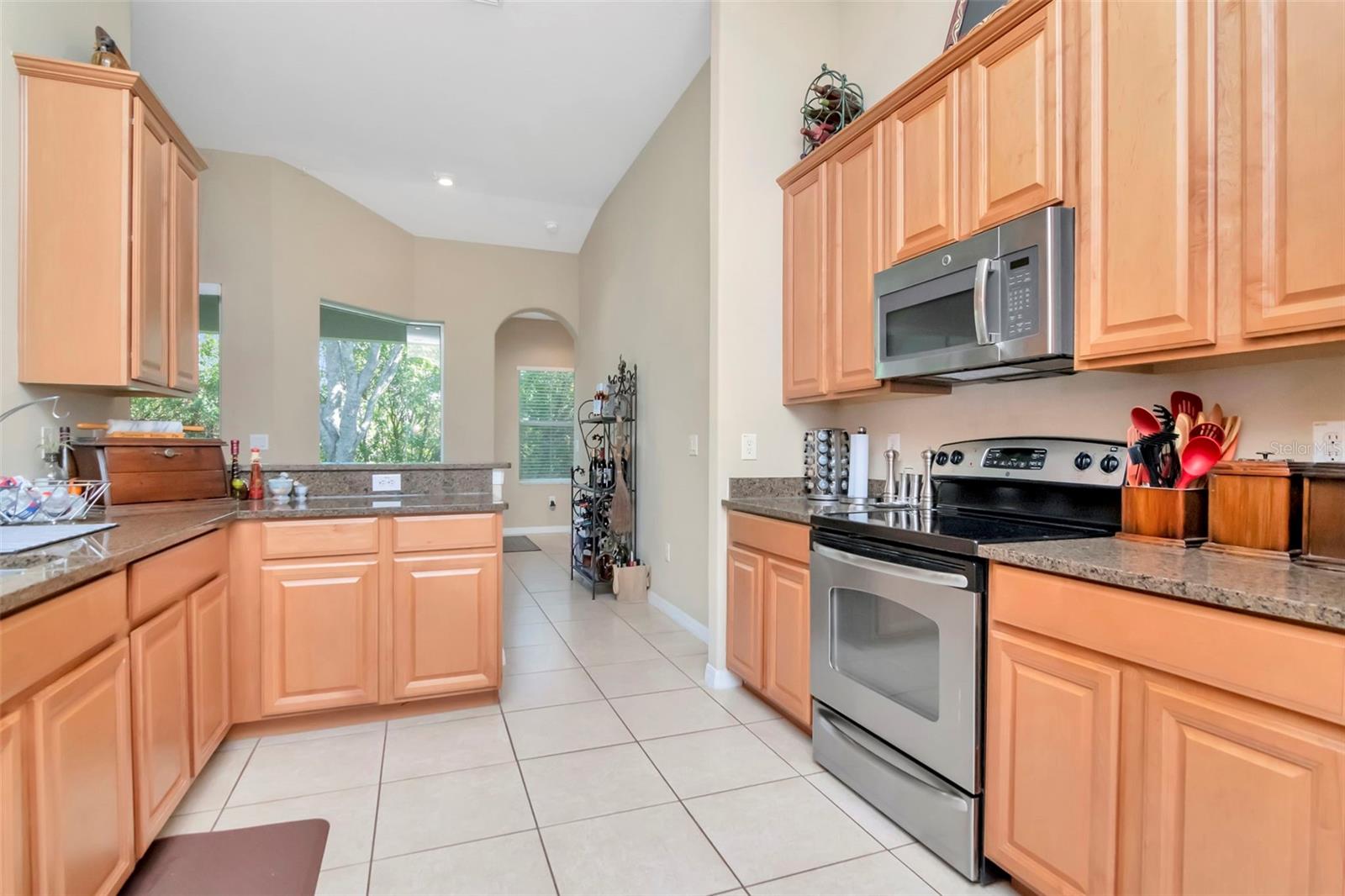 13247 GRAHAM YARDEN DR, RIVERVIEW, FL, 33579