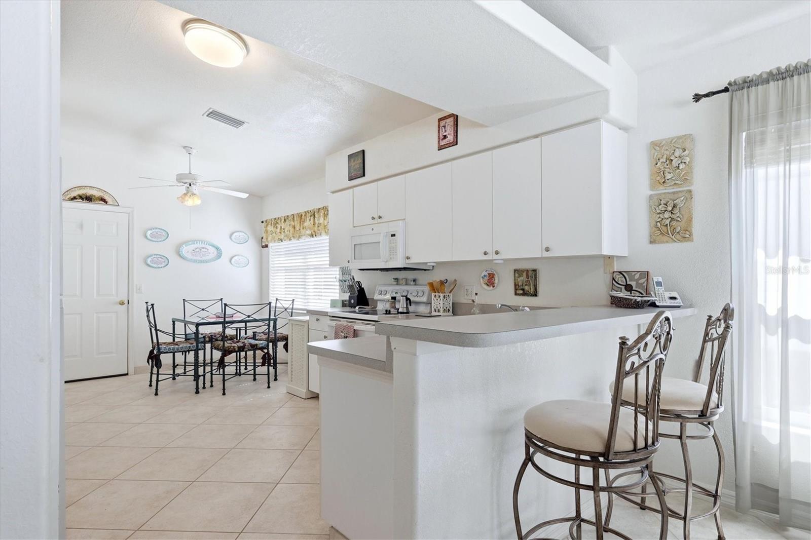 206 COUGAR WAY, ROTONDA WEST, FL, 33947