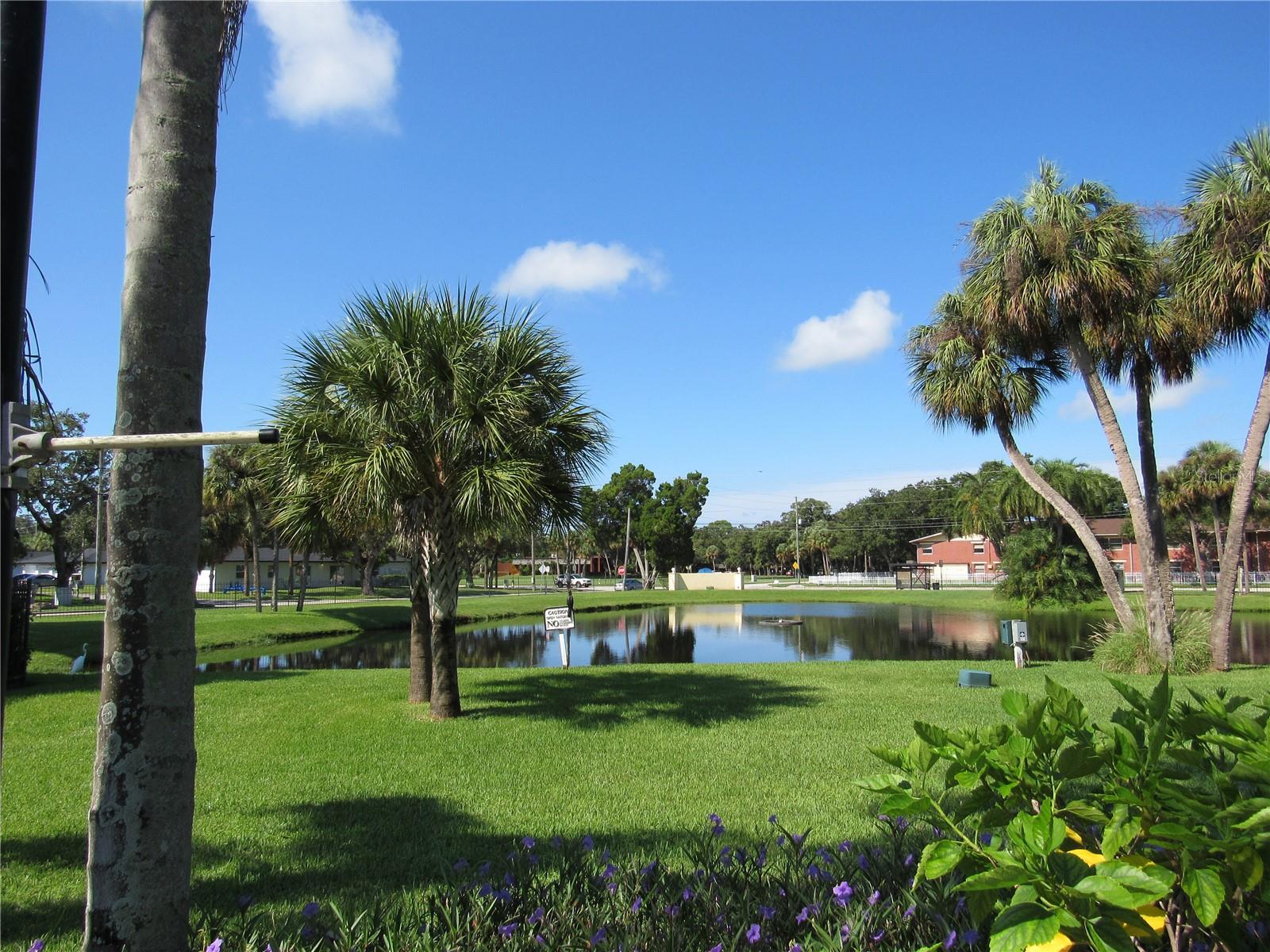 3001 58TH AVE S #610, ST PETERSBURG, FL, 33712