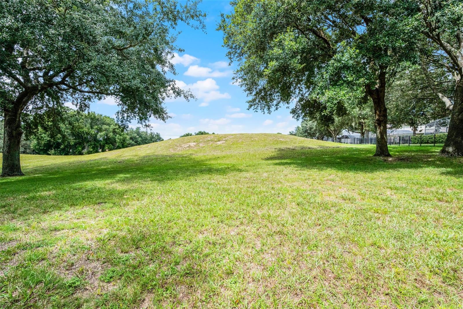 4423 ROCK HILL LOOP, APOPKA, FL, 32712