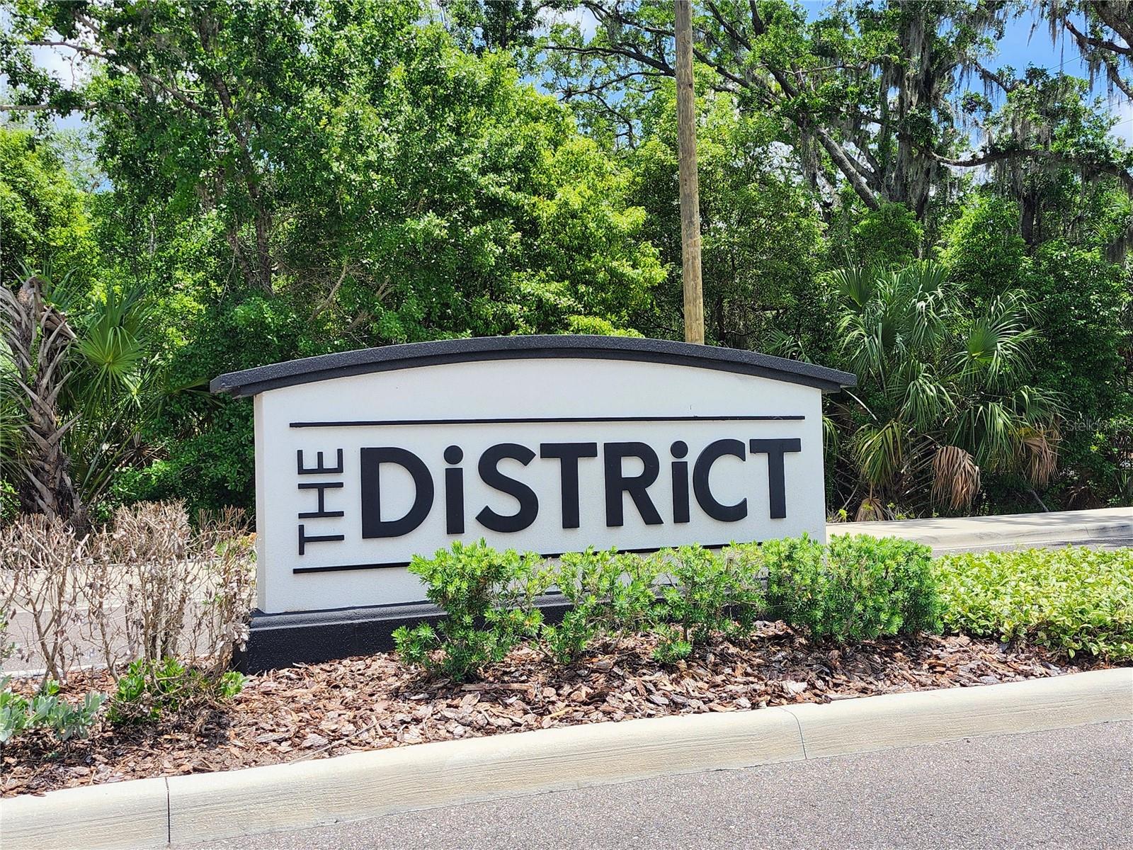 3247 PLEASANT WILLOW CT, BRANDON, FL, 33511