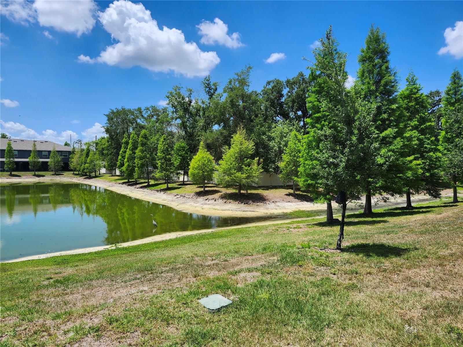 3247 PLEASANT WILLOW CT, BRANDON, FL, 33511