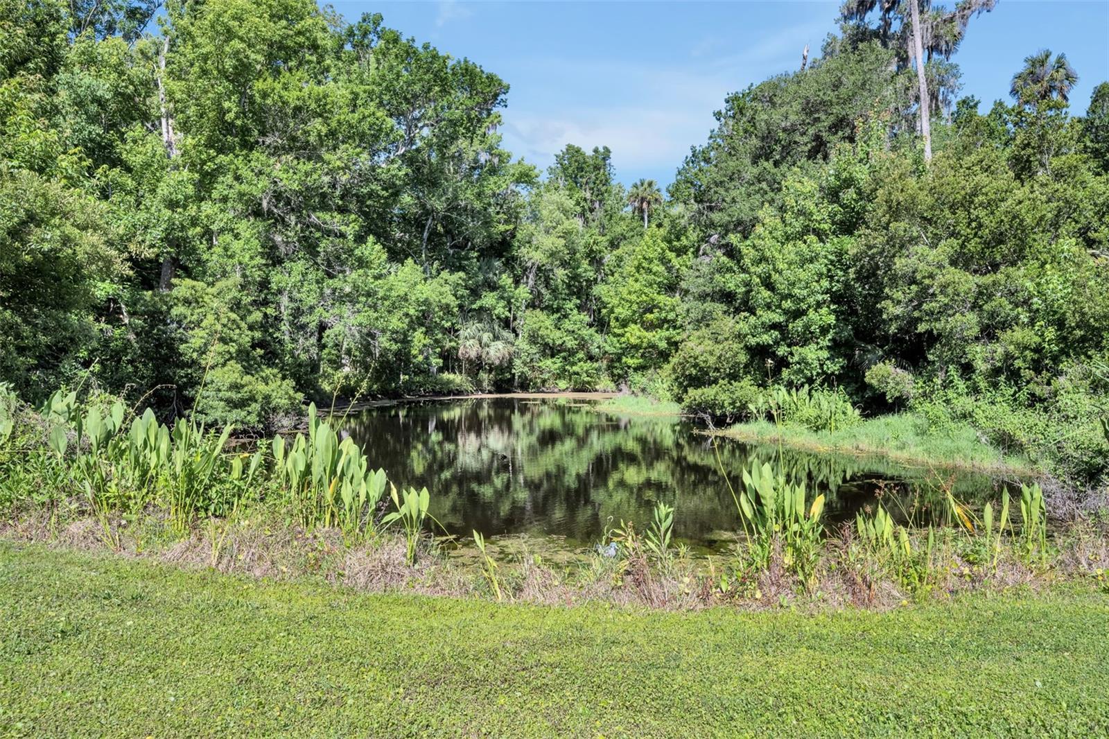 1483 MIRKWOOD CV, OVIEDO, FL, 32765