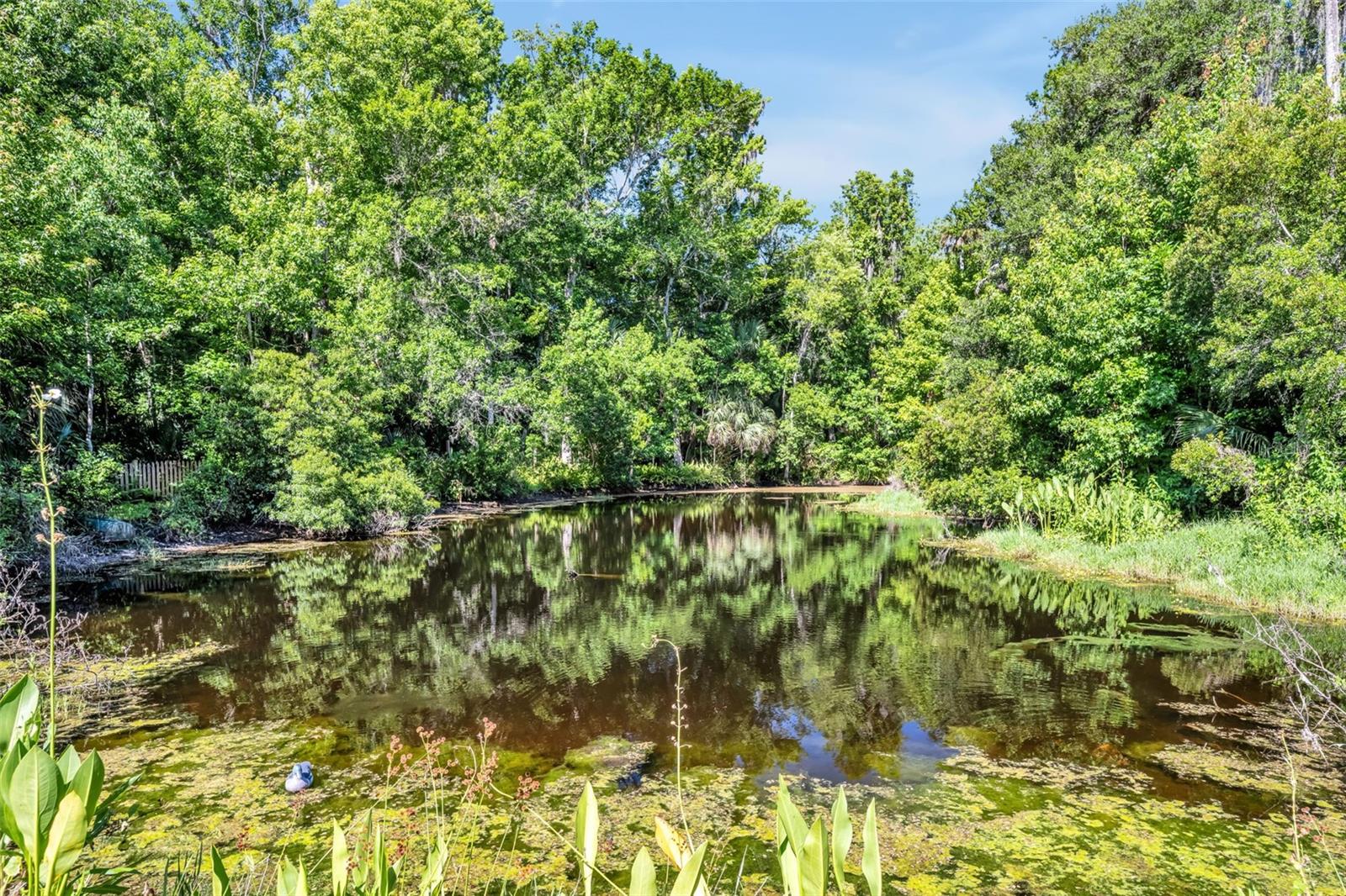 1483 MIRKWOOD CV, OVIEDO, FL, 32765