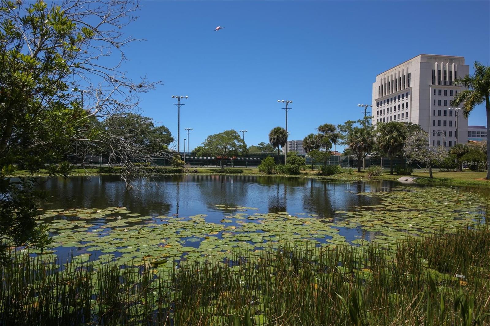 1676 OAK ST, SARASOTA, FL, 34236