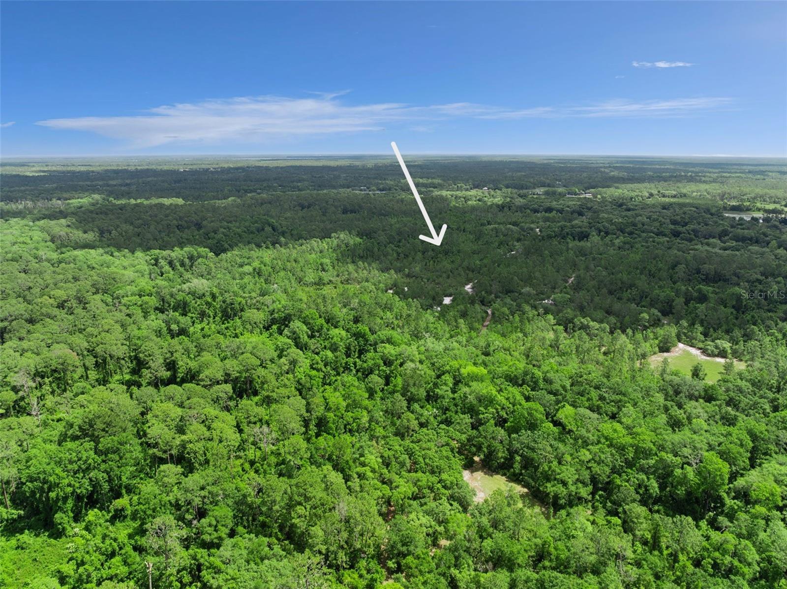 1140 BUCKLES RD, PIERSON, FL, 32180