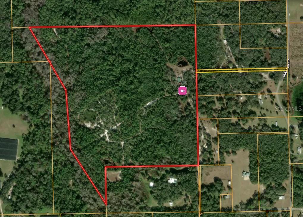 1140 BUCKLES RD, PIERSON, FL, 32180