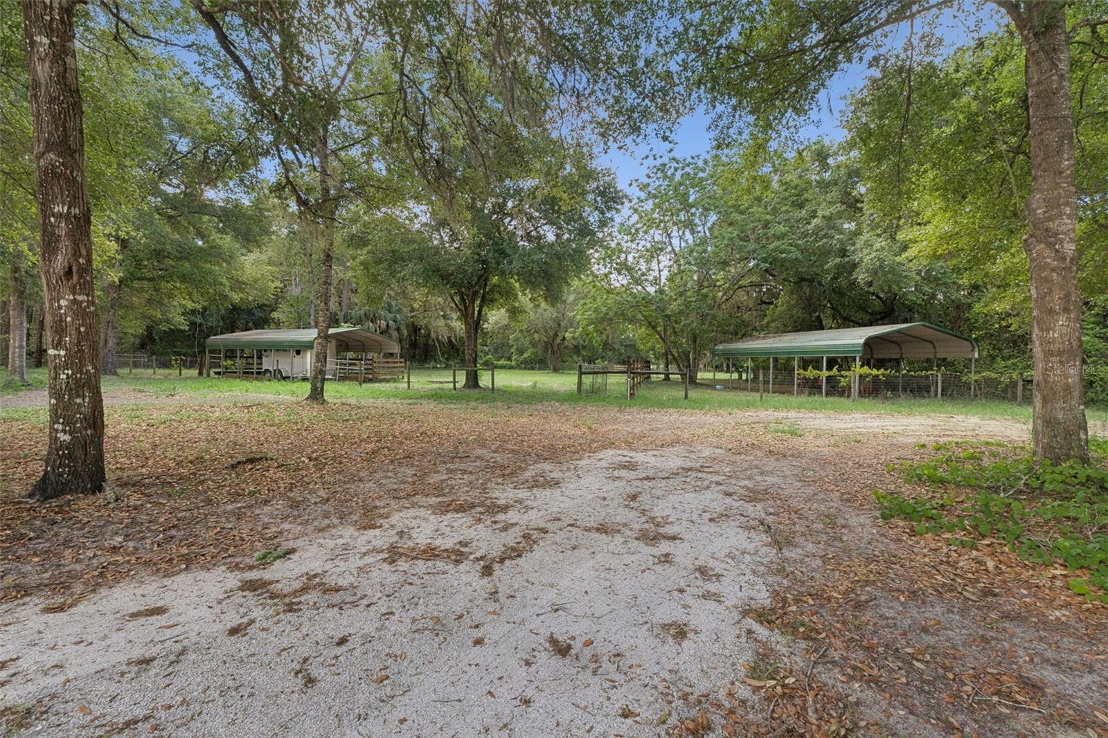 1140 BUCKLES RD, PIERSON, FL, 32180