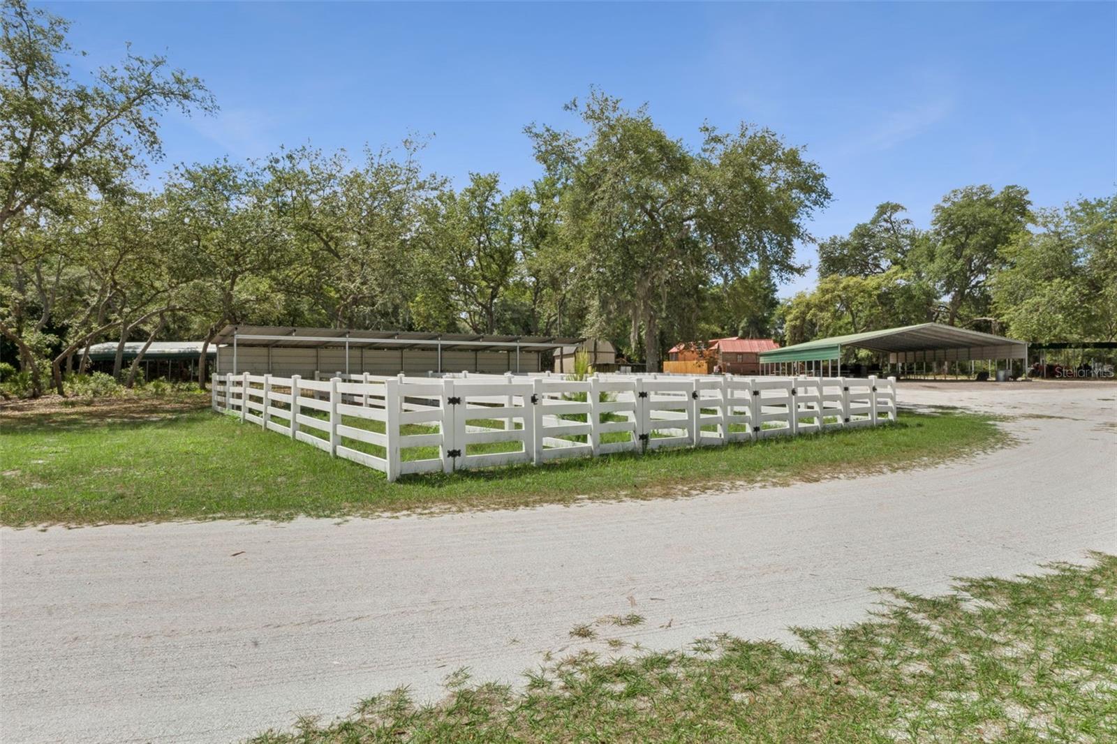 1140 BUCKLES RD, PIERSON, FL, 32180