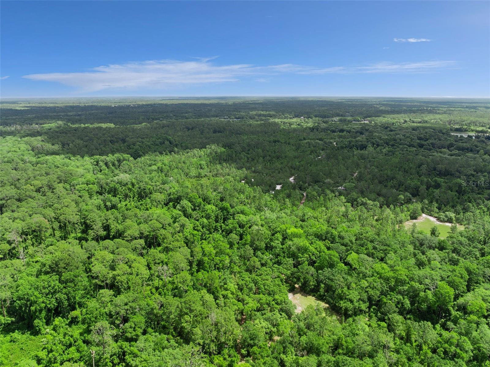1140 BUCKLES RD, PIERSON, FL, 32180