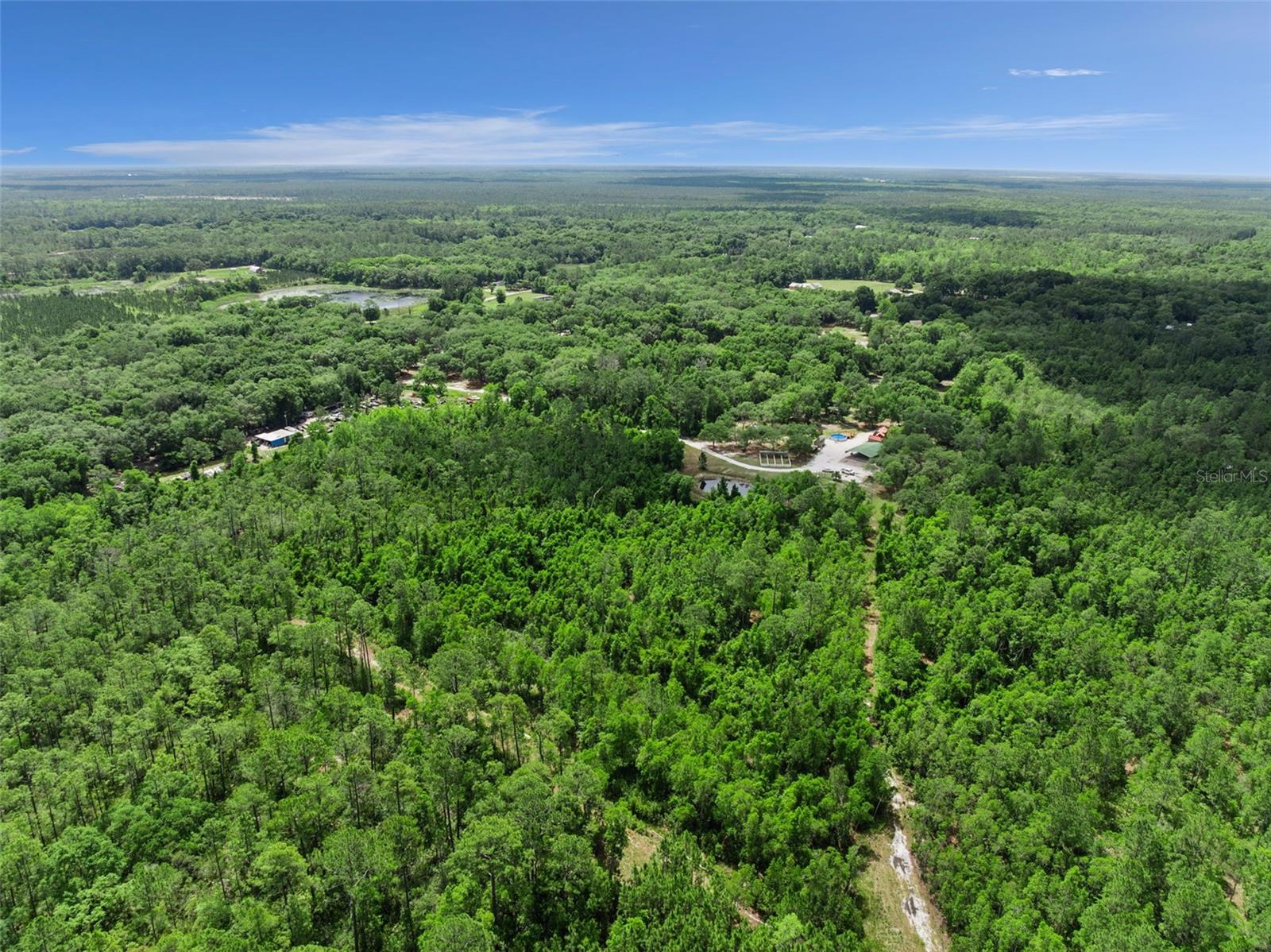 1140 BUCKLES RD, PIERSON, FL, 32180
